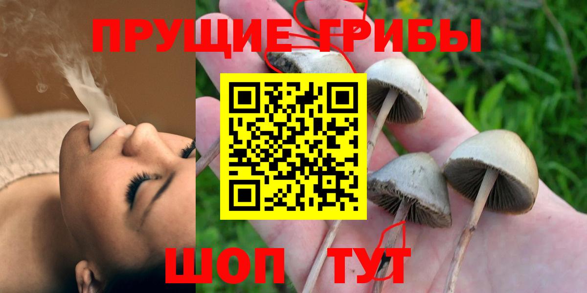 Псилоцибиновые грибы MAGIC MUSHROOMS  как найти   Мелеуз  Вход с VPN 